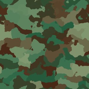 Read more about the article After a 48-hour operation in J&K, soldiers’ bodies have been recovered, bringing the total number of casualties to nine.